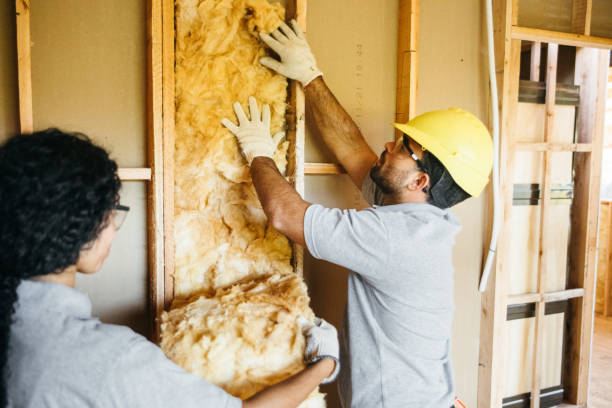 Types of Insulation We Offer in Millington, TN